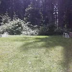 Park Guest