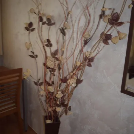 Aparthotel Park Guest 4*